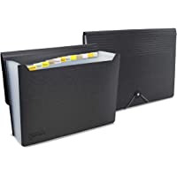 Los mejores  - Rapesco 1638 Germ-Savvy Antibacteriano- Carpeta Clasificadora con 13 Compartimientos- Negro